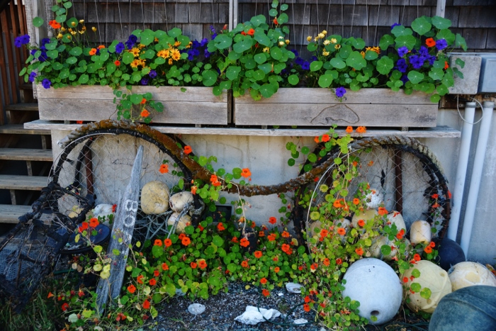 wildflowers and buoys